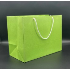 Пакет из дизайнерской бумаги Эфалин цвет зеленое яблоко размер 220мм*300мм*120мм-горизонтальный. В упаковке 10 штук.Цена за одну упаковку.